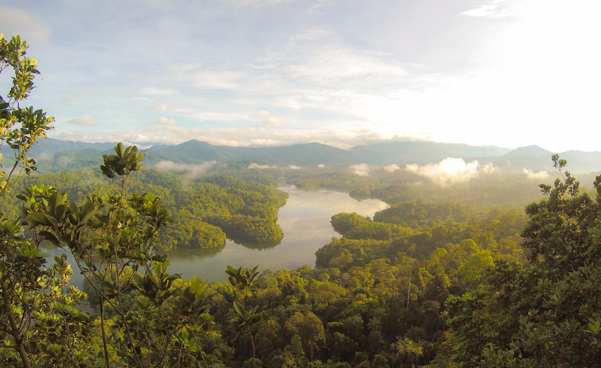 Taman Negara