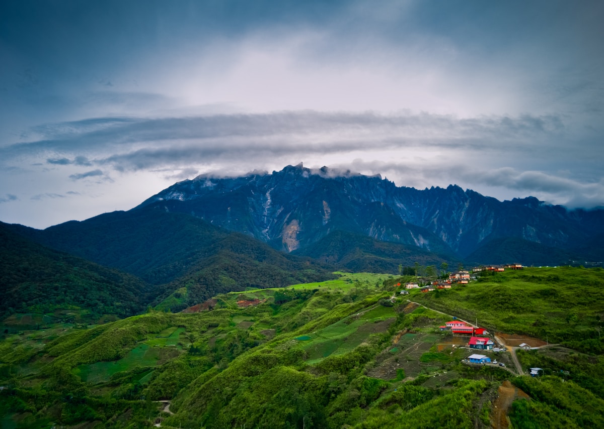 Tawau