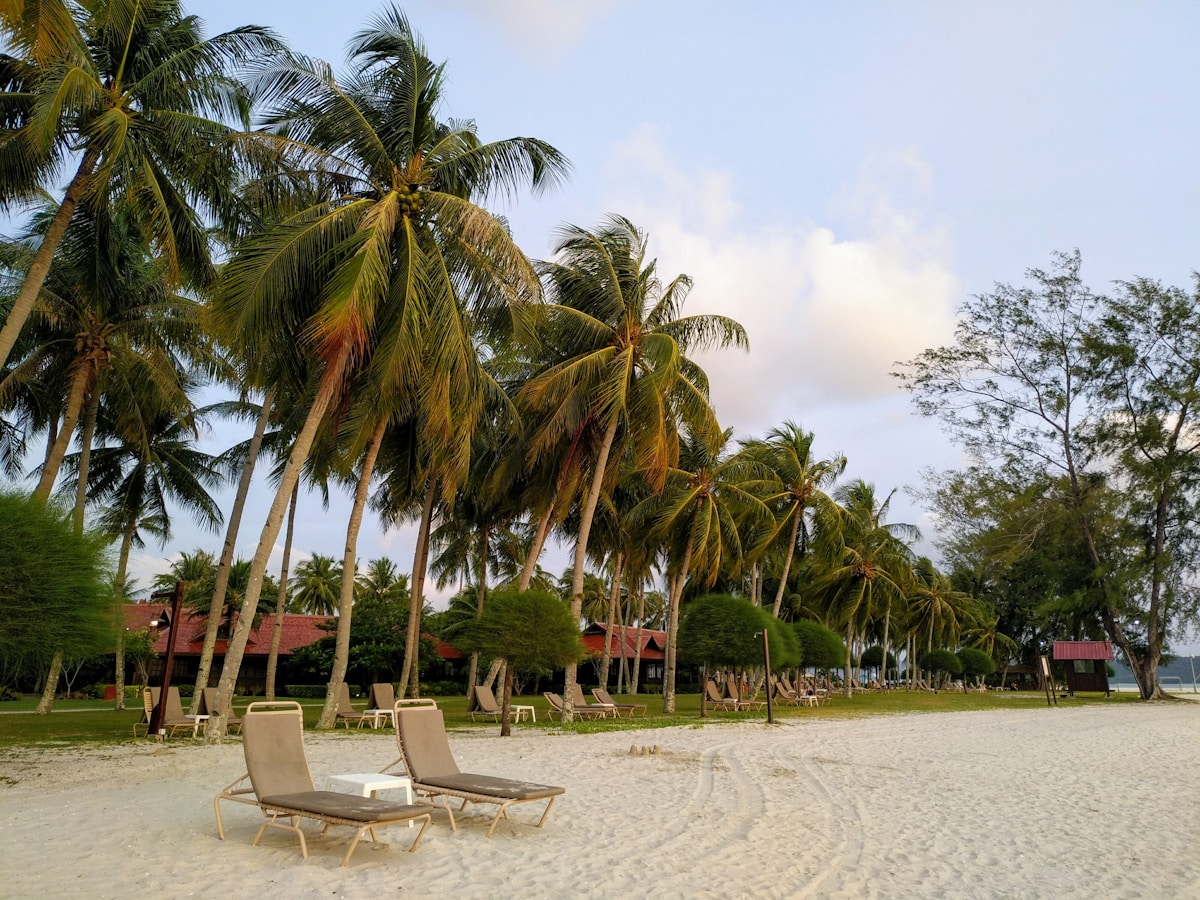 Palm trees lining a beach under cloudy sky, Langkawi Island, Kedah, Malaysia