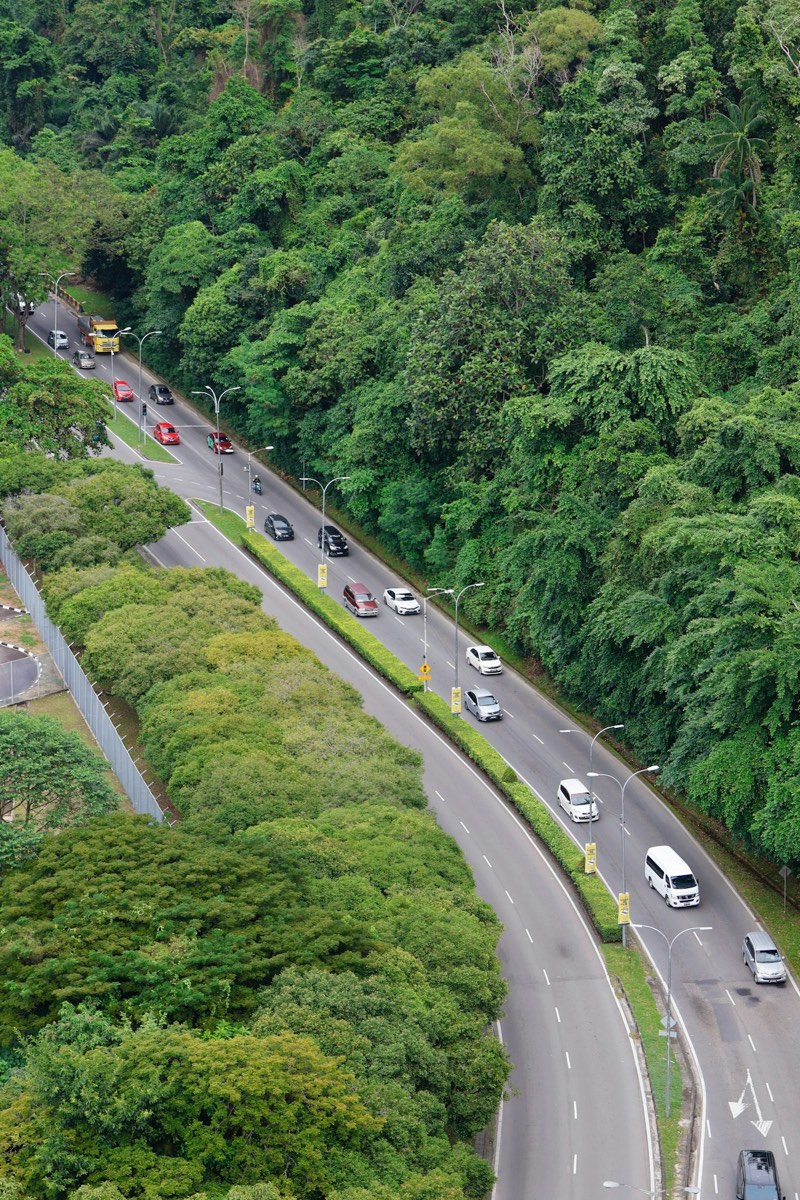 Cars driving on a Malaysian highway surrounded by green rainforest