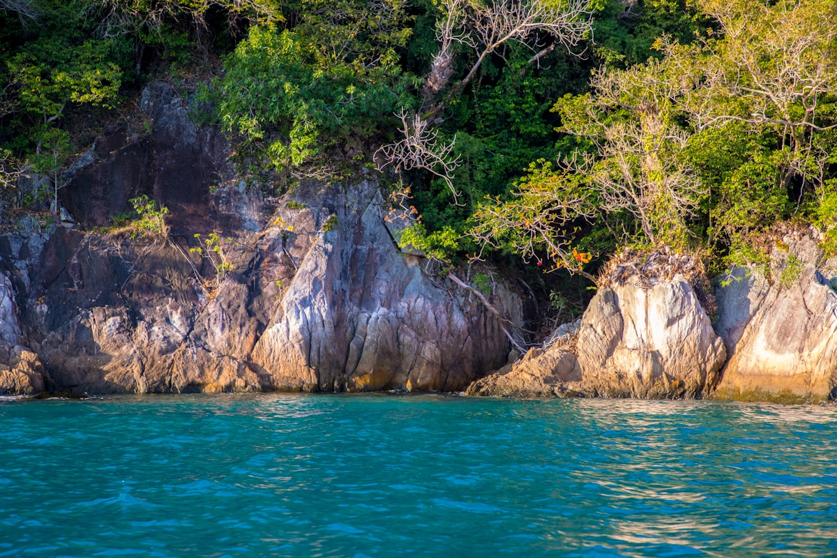 Rocky cliff with lush vegetation and turquoise water, Redang Island, Malaysia