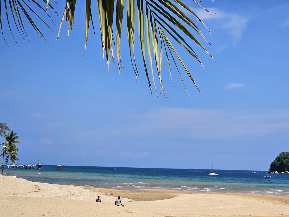 View of beach with palm tree, Tioman Island area, Malaysia